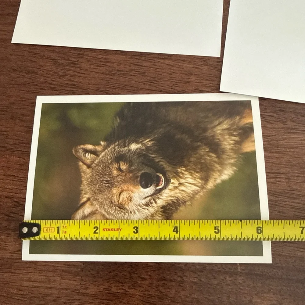 Lot of 4 blank note cards with pictures of wolves